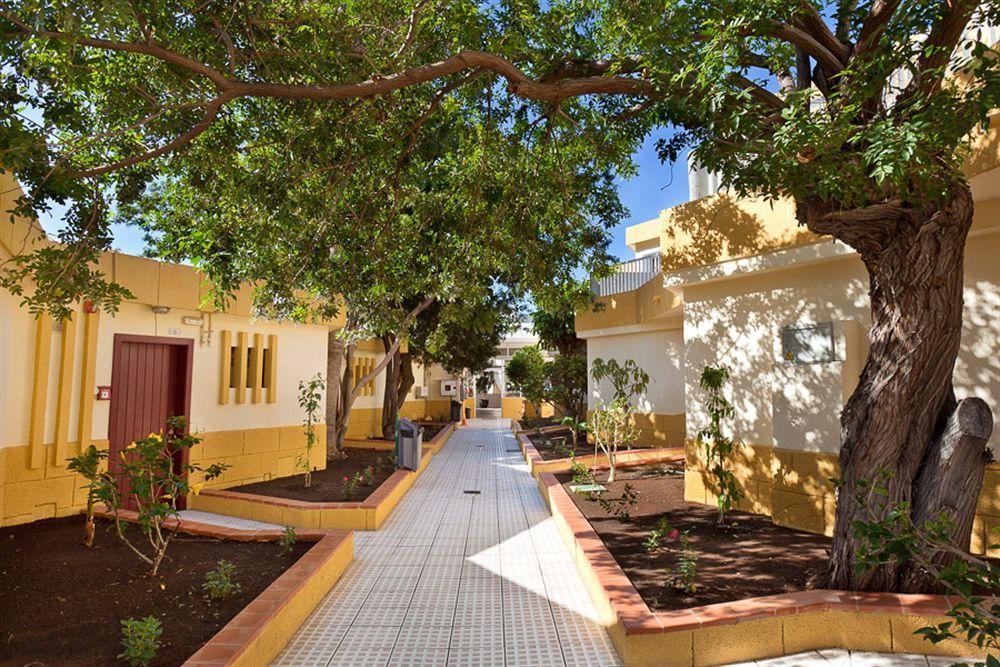 Apartamentos Plataneras Los Cristianos  Exteriör bild